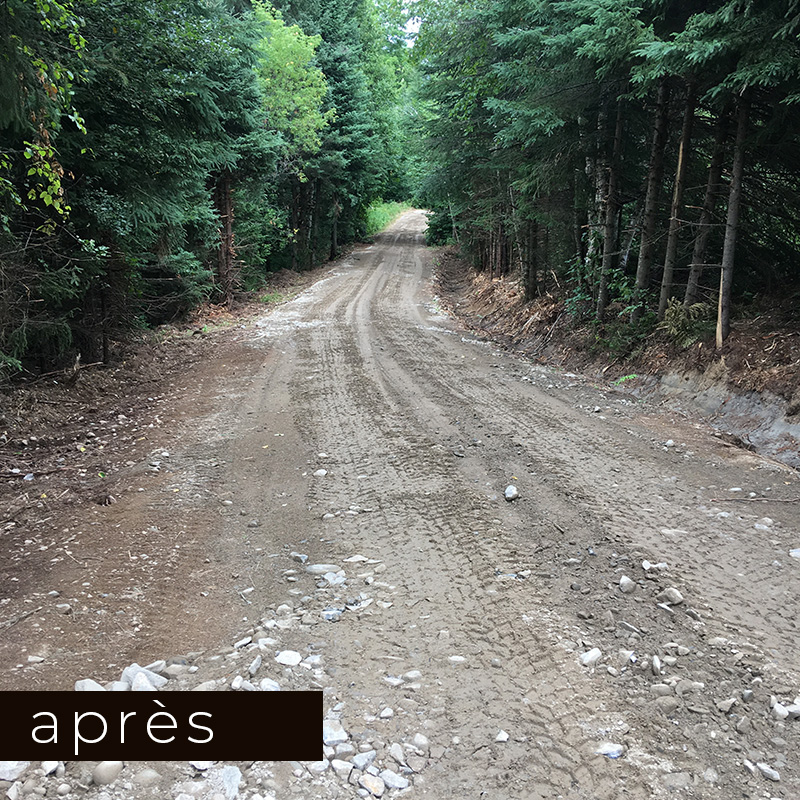 Broyage forestier - chemin forestier 2